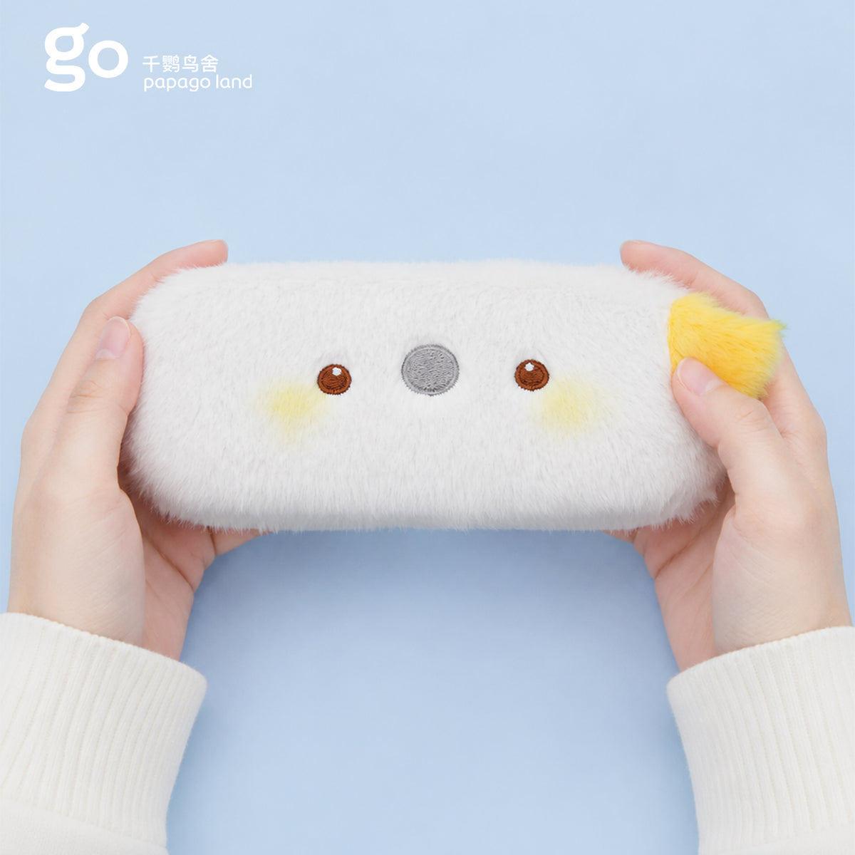 eyeglass case