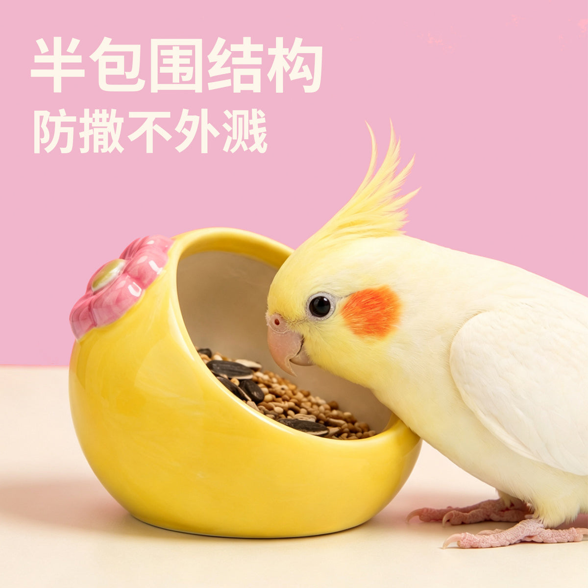 Papago Land Ceramic Parrot Bird Bowl