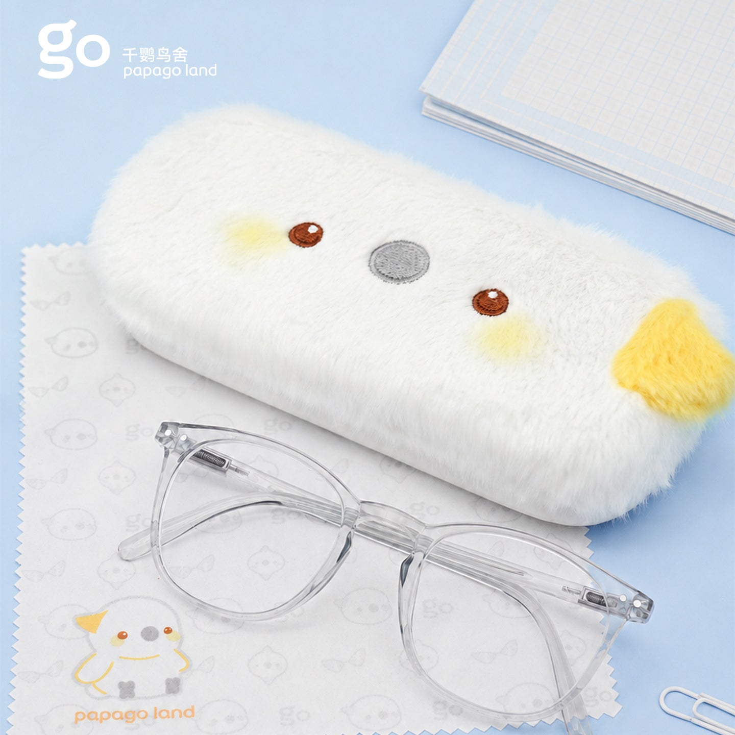 eyeglass case