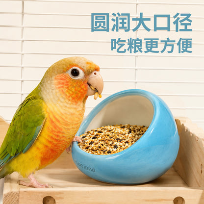 Papago Land Ceramic Parrot Bird Bowl