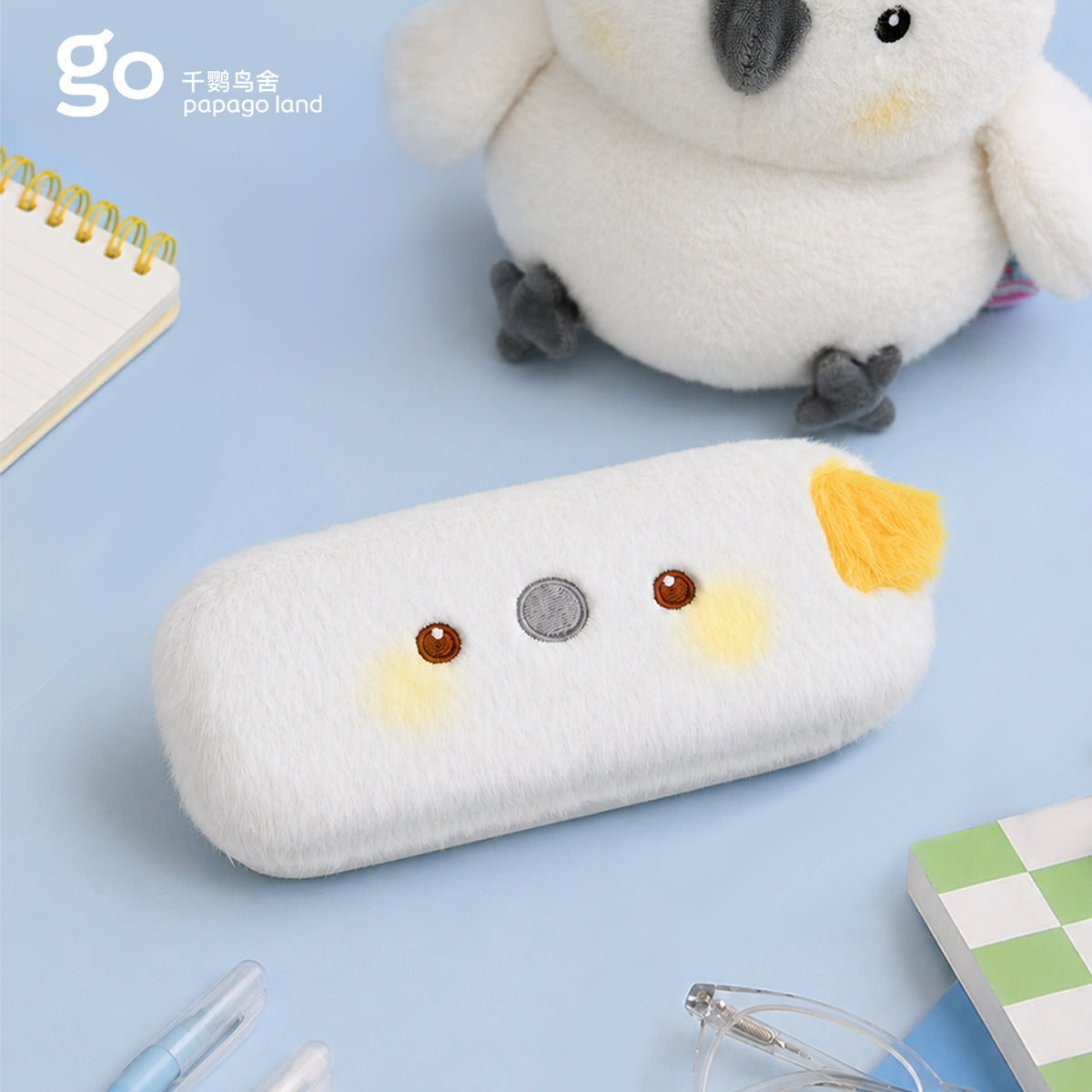 eyeglass case